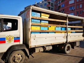 Mercedes-Benz 914 �������, ���� | Mobile.bg � ����� ������ 2