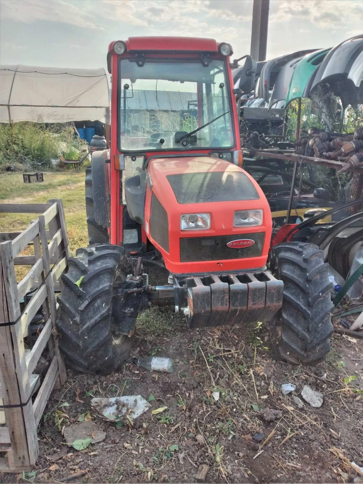 ������� Goldoni Star 100 | Mobile.bg � ����������� 1