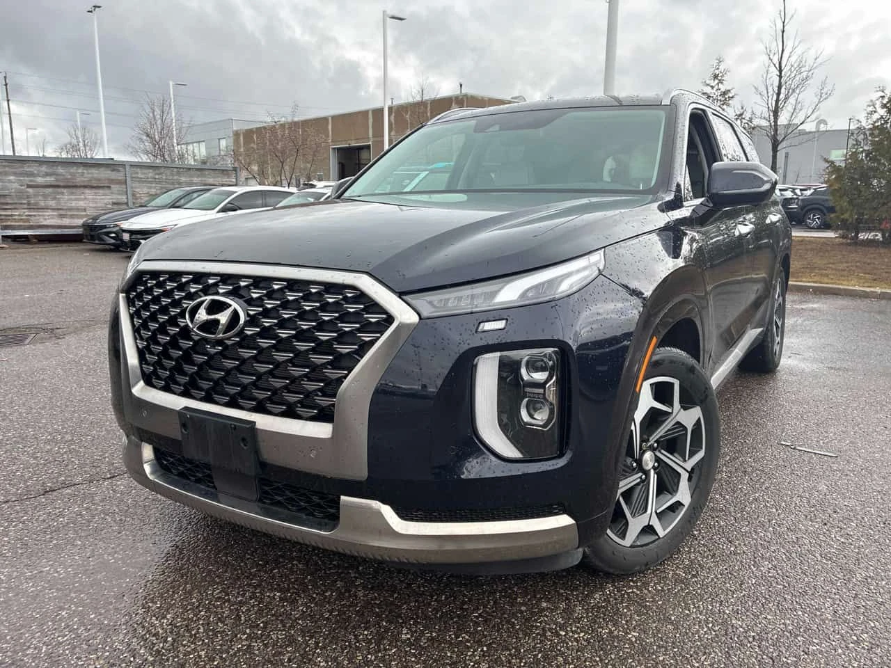 Hyundai Palisade * Ultimate Calligraphy * 7 МЕСТЕН * 360 * ОБДУХВАН