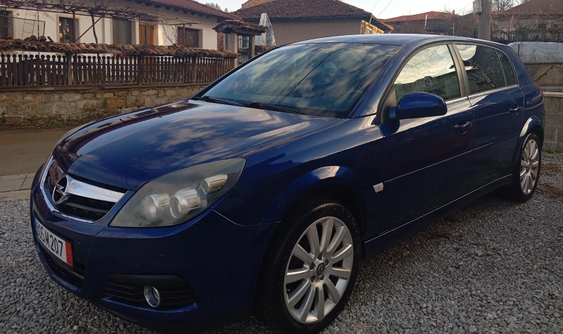 Opel Signum 1.9CDTI 120 к.с, снимка 2 - Автомобили и джипове - 53052433