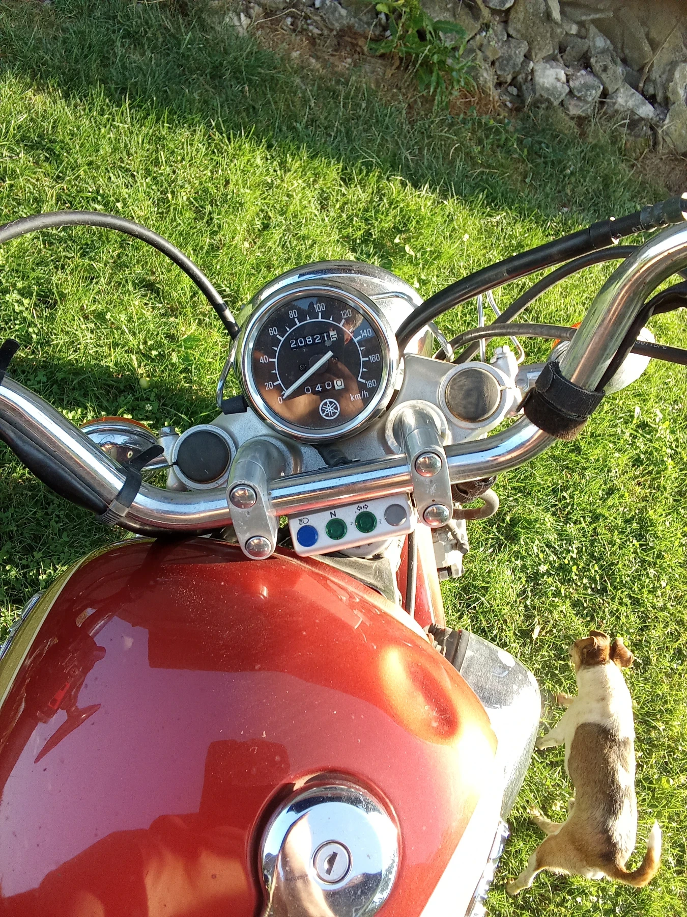 Yamaha Virago, снимка 4 - Мотоциклети и мототехника - 55214252