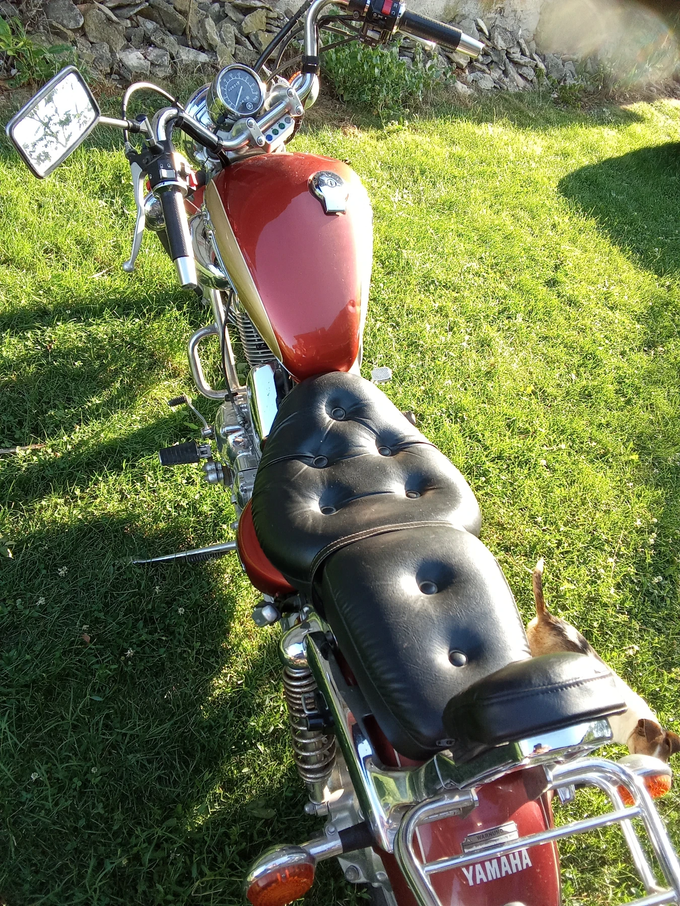 Yamaha Virago, снимка 5 - Мотоциклети и мототехника - 55214252