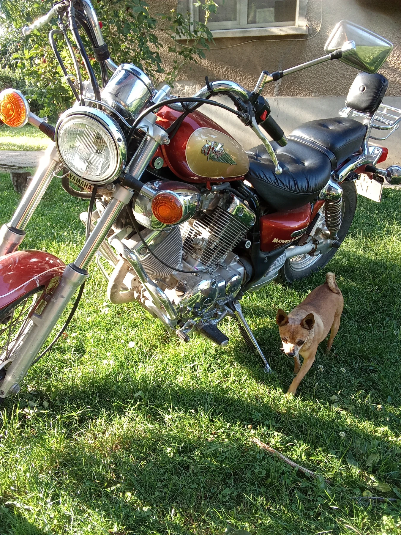 Yamaha Virago, снимка 3 - Мотоциклети и мототехника - 55214252