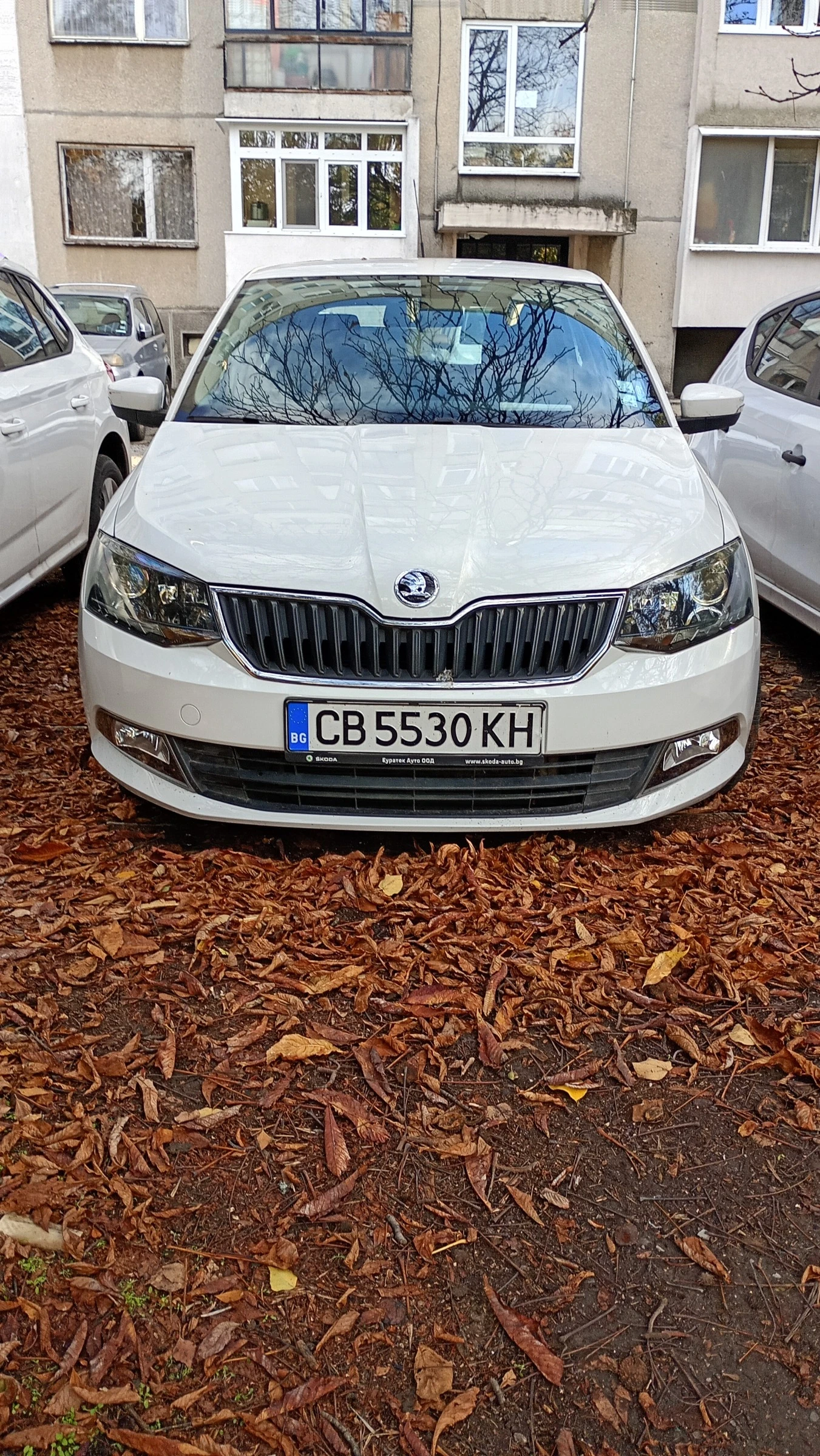 Skoda Fabia 3 - изображение 5
