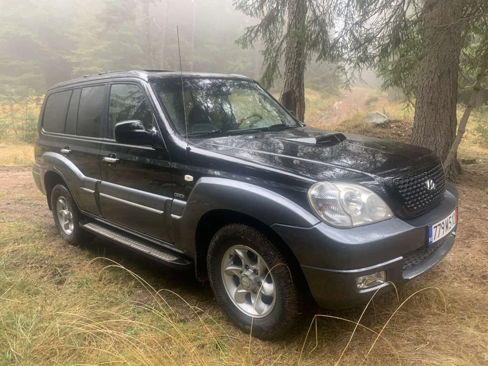 Hyundai Terracan 2.9 CRDI Внос от Италия, снимка 2 - Автомобили и джипове - 53811282