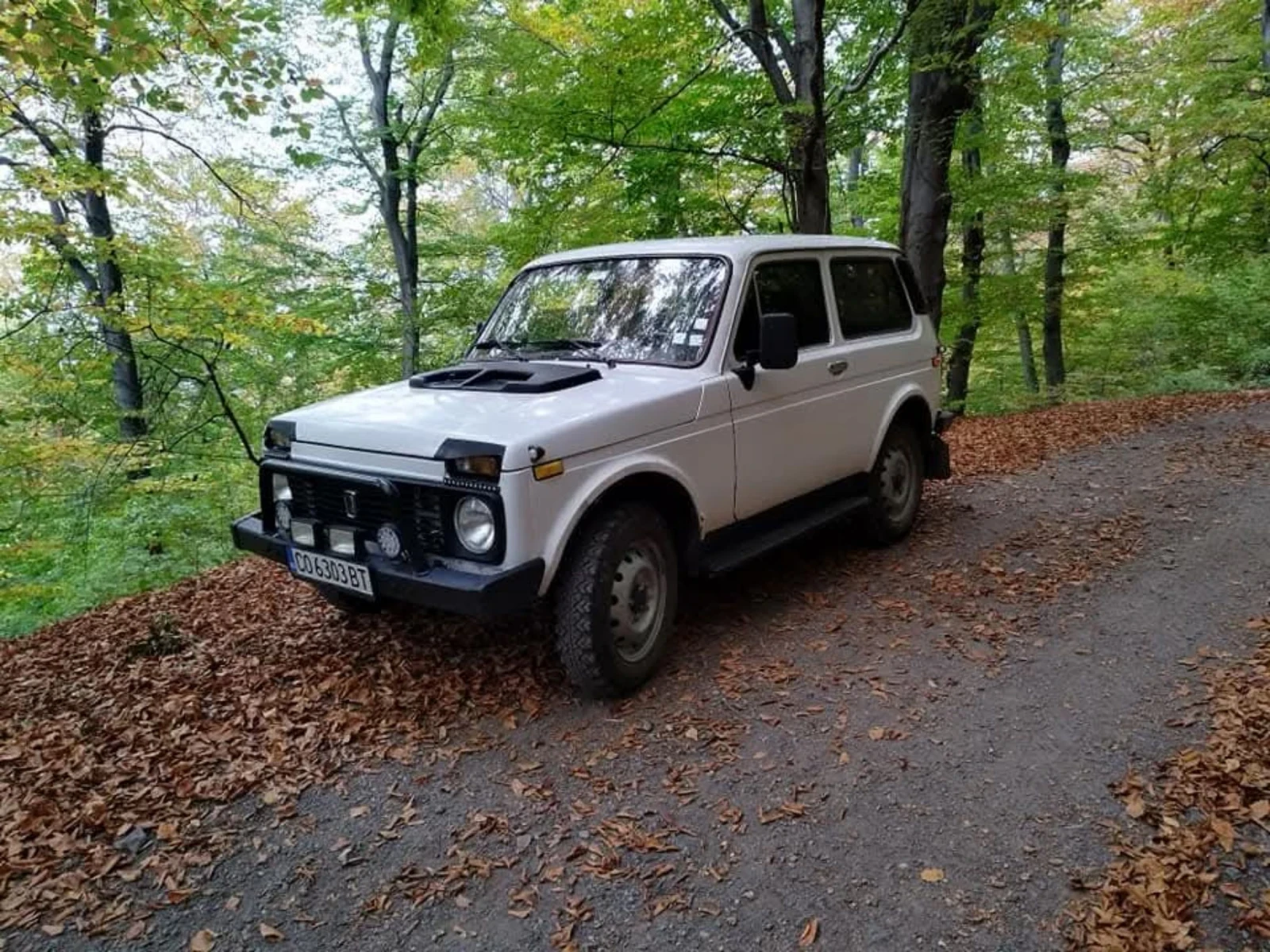 Lada Niva 1.6, снимка 4 - Автомобили и джипове - 54965363