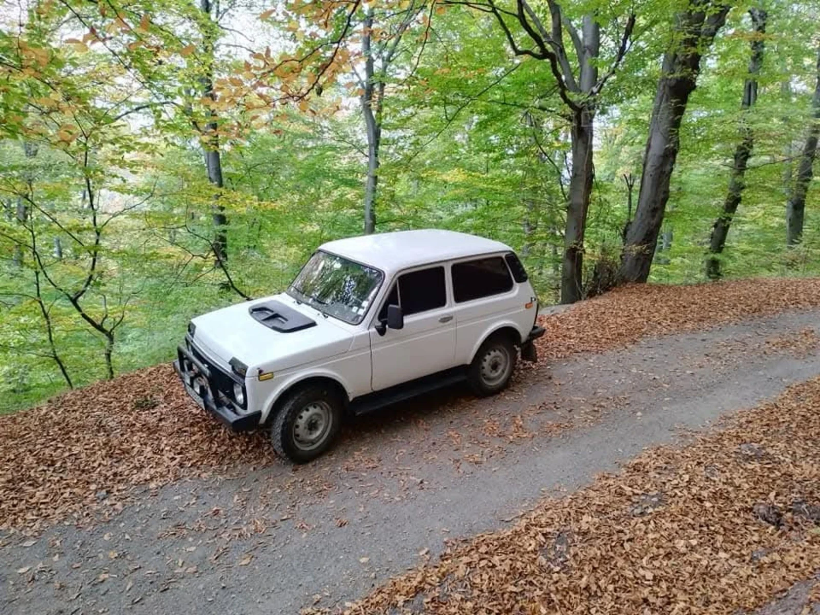 Lada Niva 1.6, снимка 6 - Автомобили и джипове - 54965363