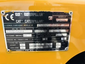  Cat  ,   | Mobile.bg    10