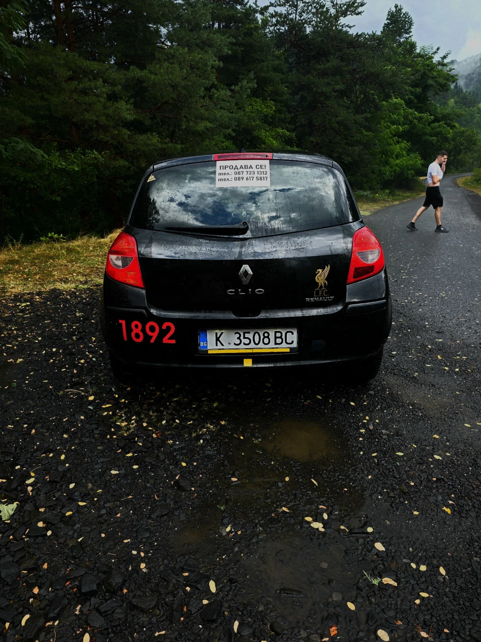 Renault Clio, снимка 6 - Автомобили и джипове - 55404707