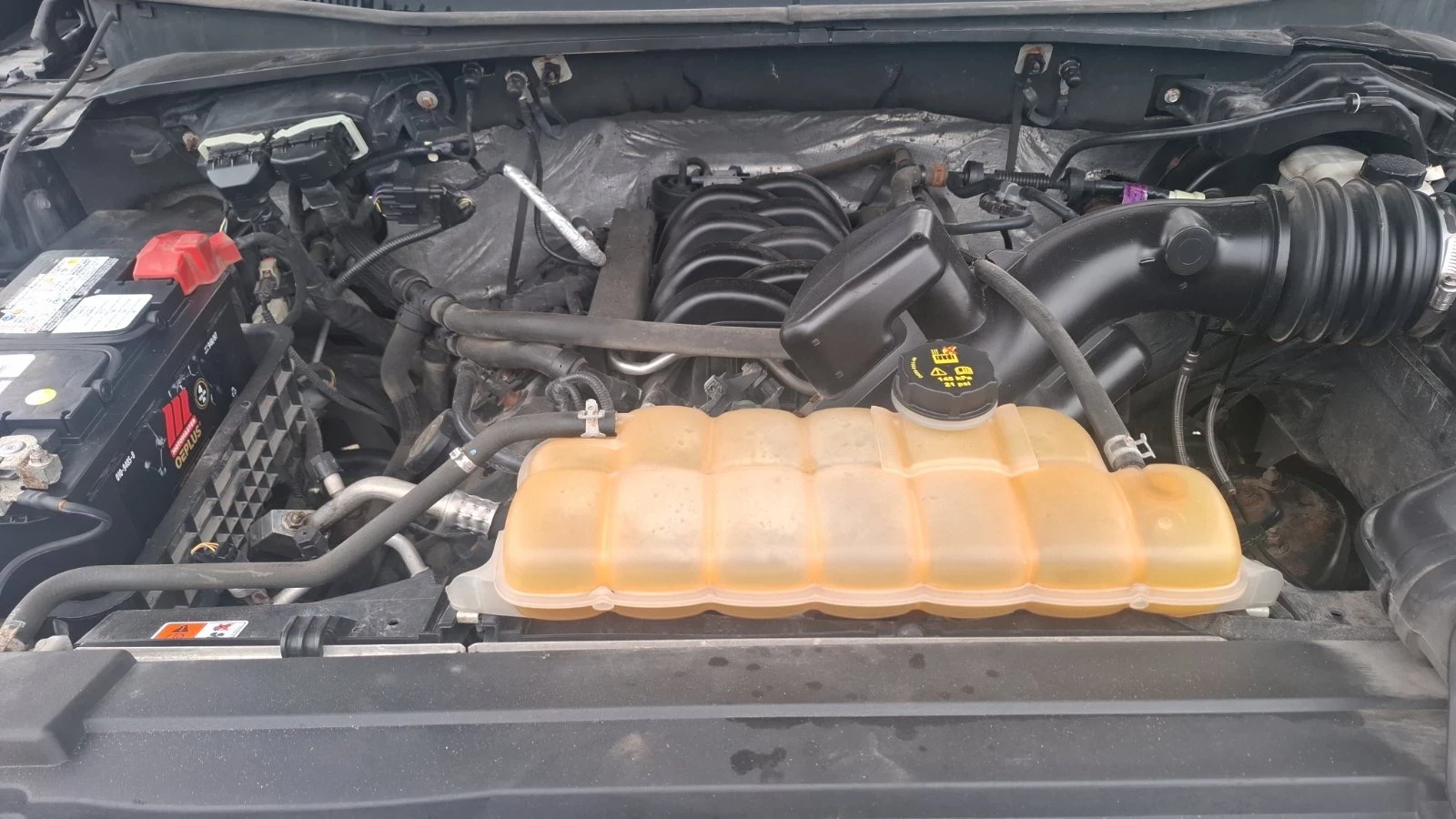 Ford F150 5.0 Coyote | Mobile.bg — изображение 13