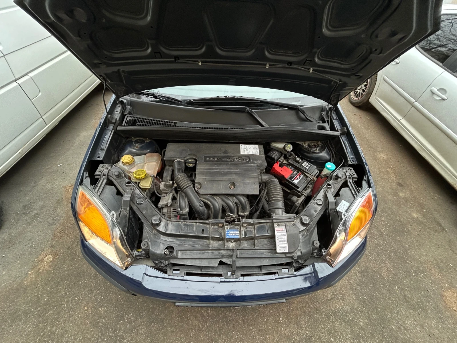 Ford Fusion FXJA8Y06161 | Mobile.bg   14