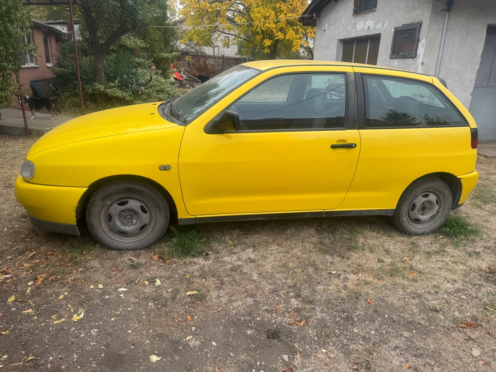 Seat Ibiza, снимка 4 - Автомобили и джипове - 56532235