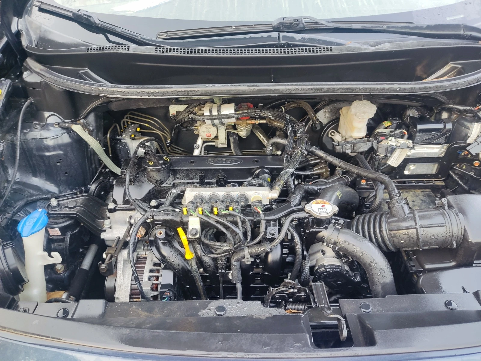 Kia Rio 1.25 cvvt brc | Mobile.bg   12