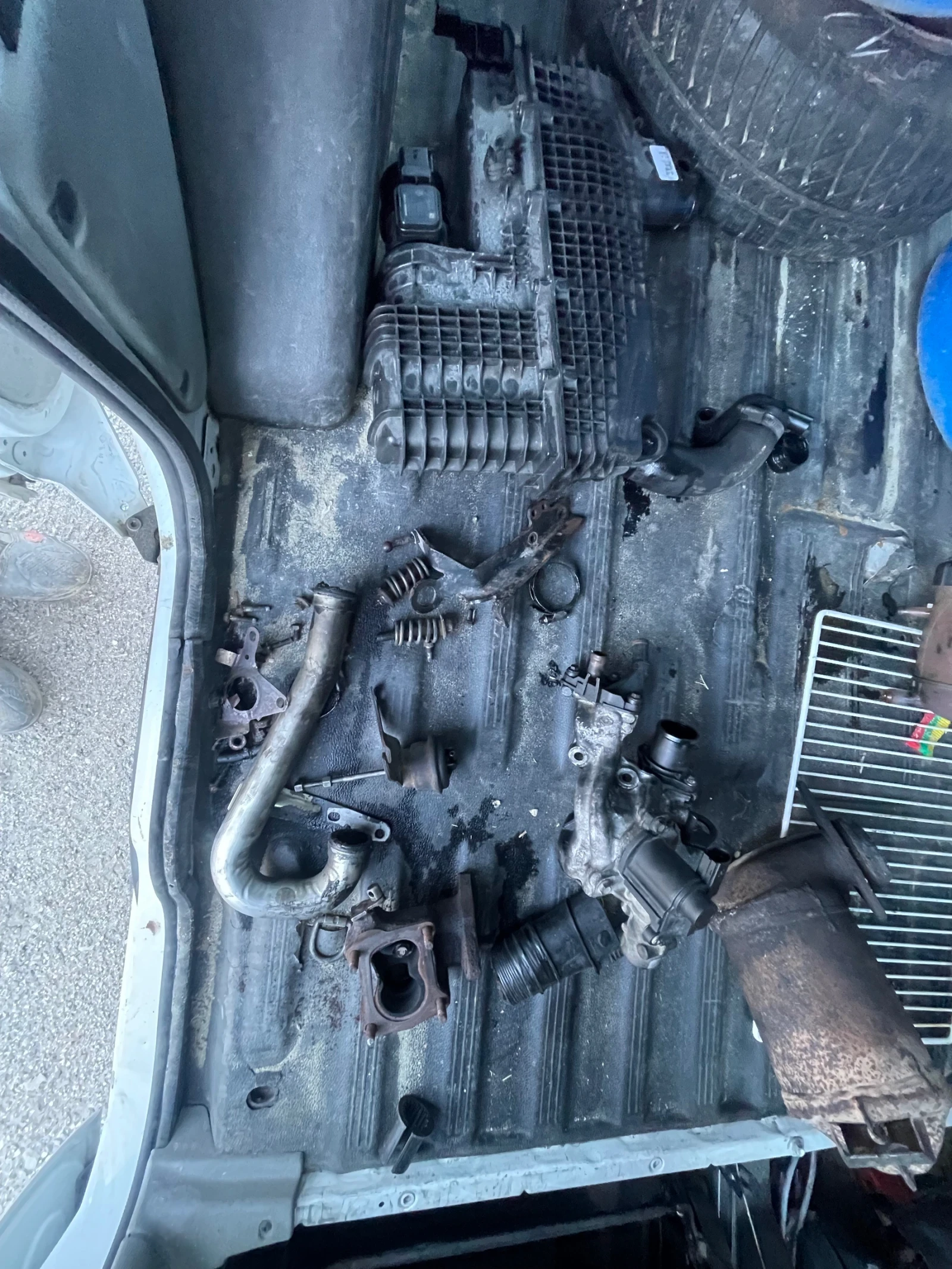 Renault Kangoo 1.5 DCI | Mobile.bg � ����������� 11