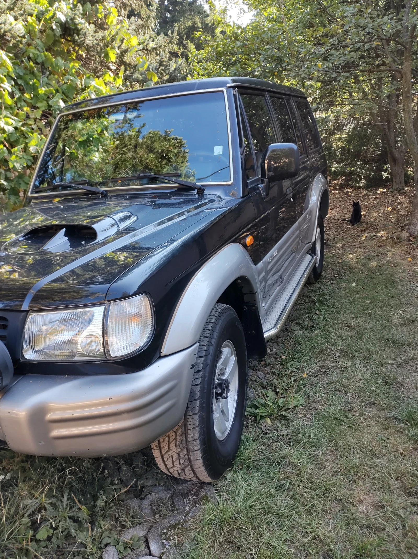 Hyundai Galloper 2.5 - изображение 2