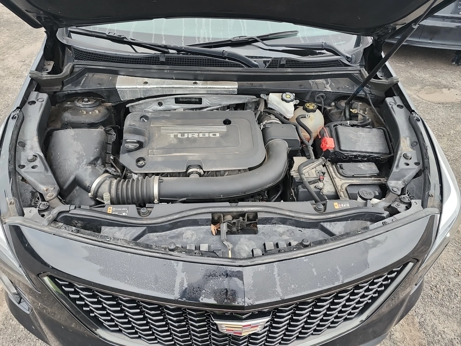 Cadillac XT4 AWD Premium Luxury* �������* ������*  | Mobile.bg � ����������� 16