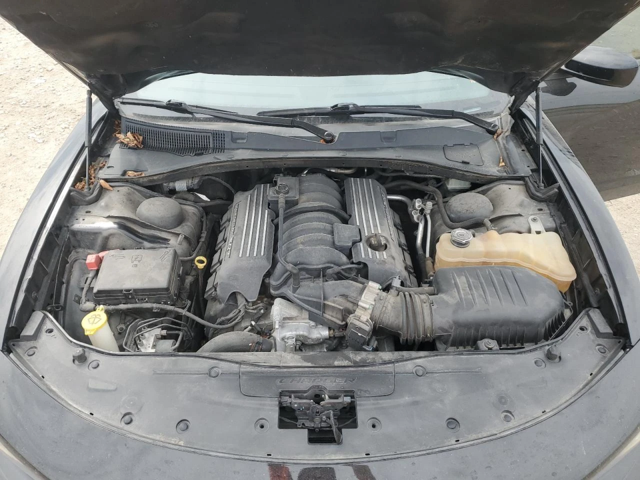 Dodge Charger R/T* 5.7* V8* 8ZF* * * * LANE*  | Mobile.bg   11