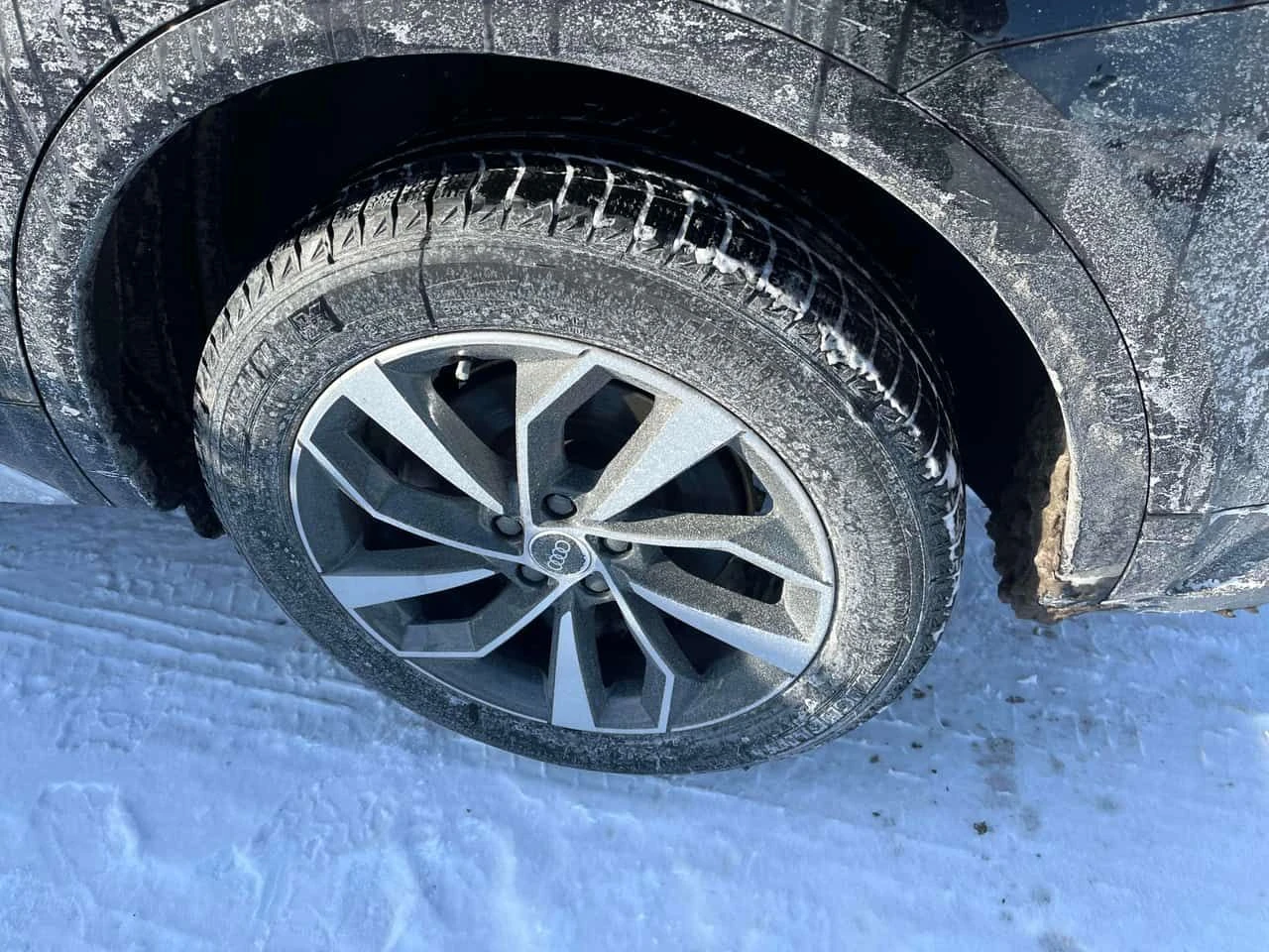 Audi Q5 * Technik * CARFAX * ЦЕНА ДО БГ - изображение 6