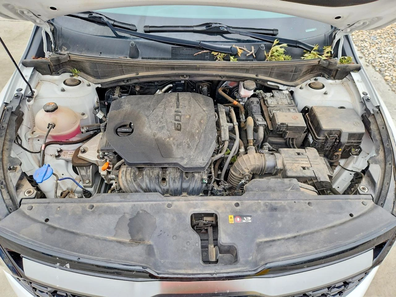 Kia Sportage 2.5l X Line, снимка 12 - Автомобили и джипове - 55074122