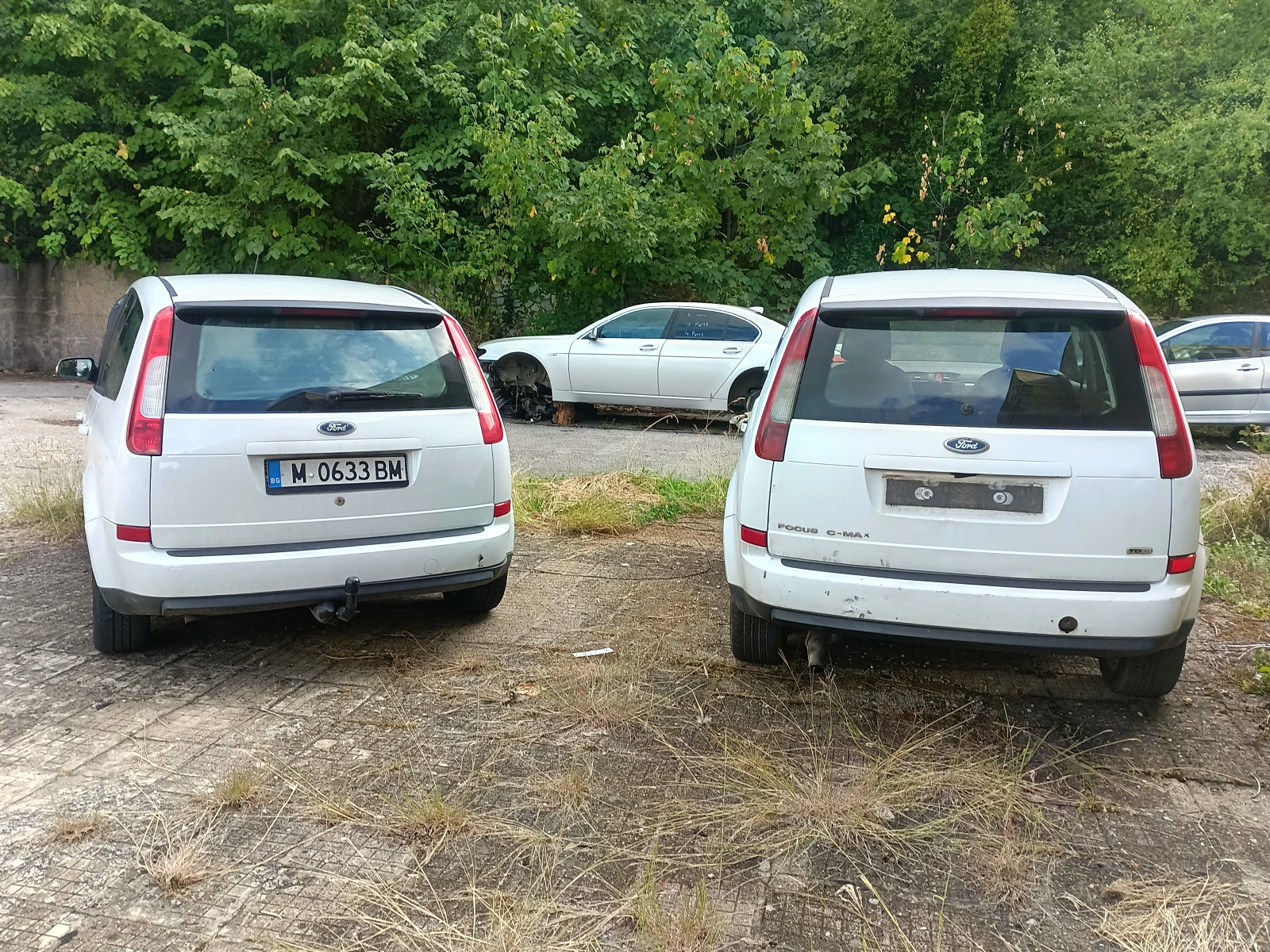 Ford C-max Chia