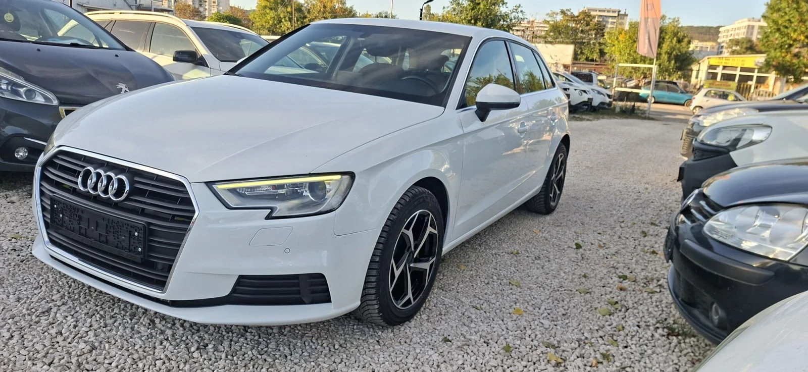 Audi A3 1.6TDI