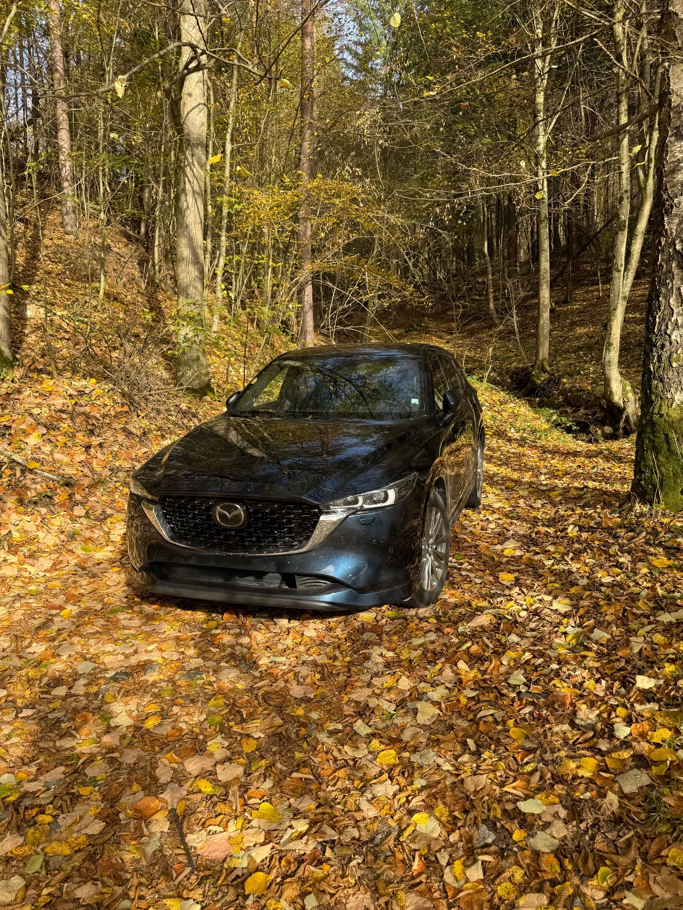 Mazda CX-5  4x4 ��������� �������� �� 09/2028 | Mobile.bg � ����������� 1