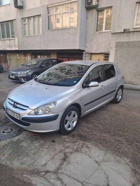  Peugeot 307