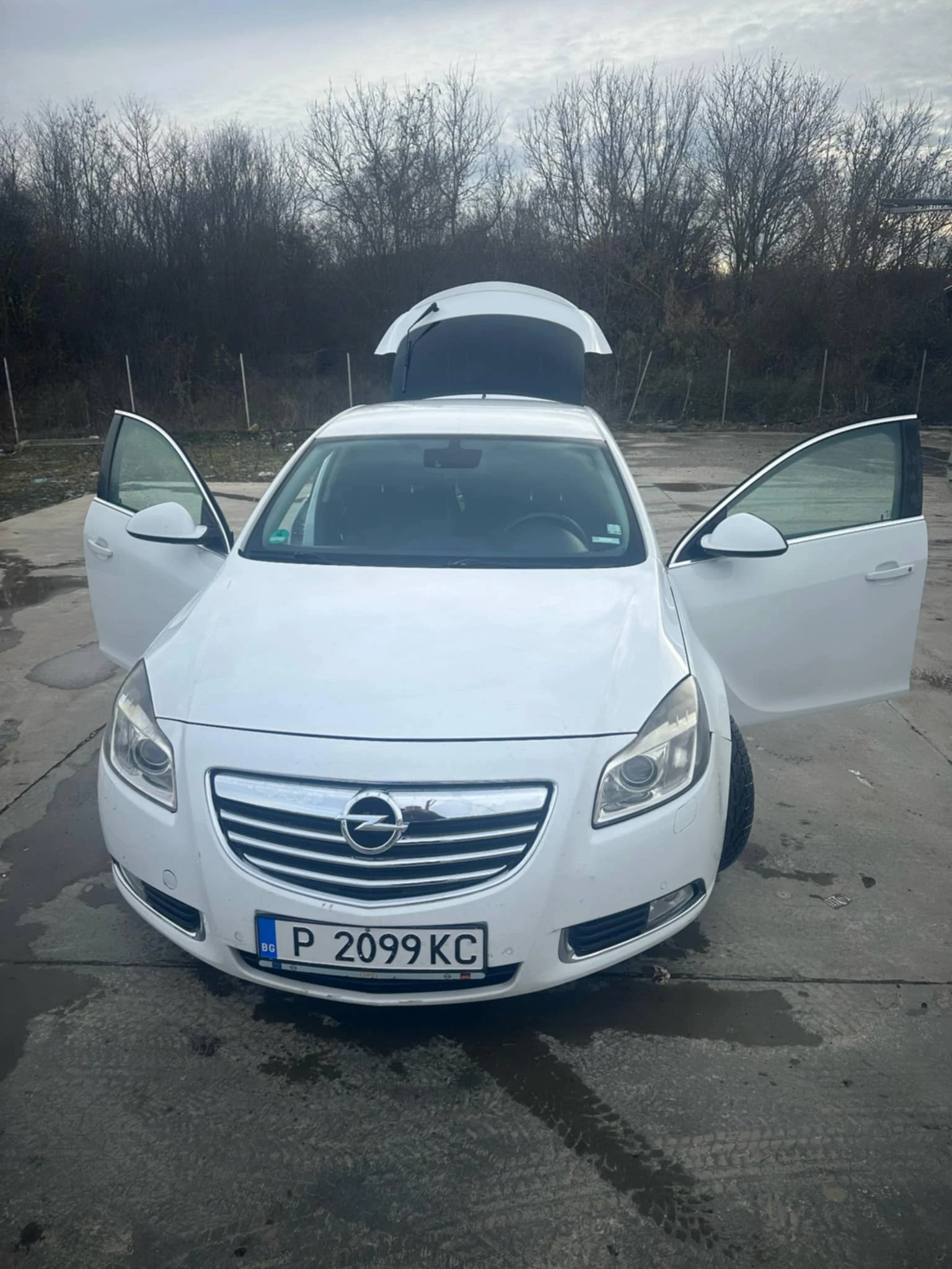 Opel Insignia, снимка 1