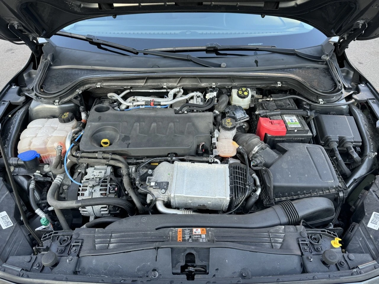 Ford Focus 2.0 TDCI, 150 HP, Auto, Подгрев, снимка 14 - Автомобили и джипове - 54504290