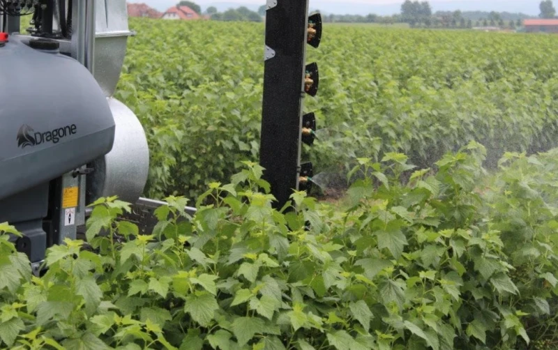 Специализирани машини Машини за лозя/овошки Прикачна вентилаторна пръскачка за лозя  DRAGONE , снимка 9 - Селскостопанска техника - 50530789