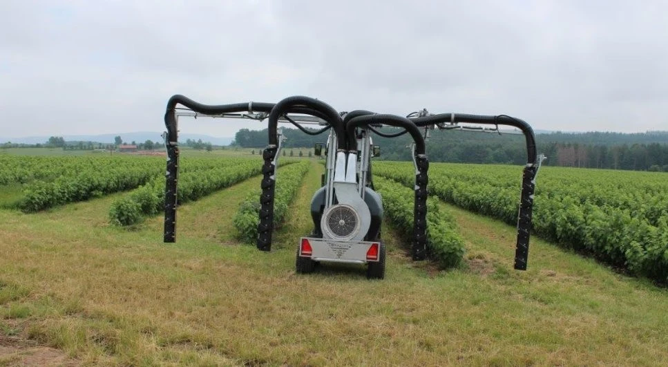     /       DRAGONE  | Mobile.bg   11