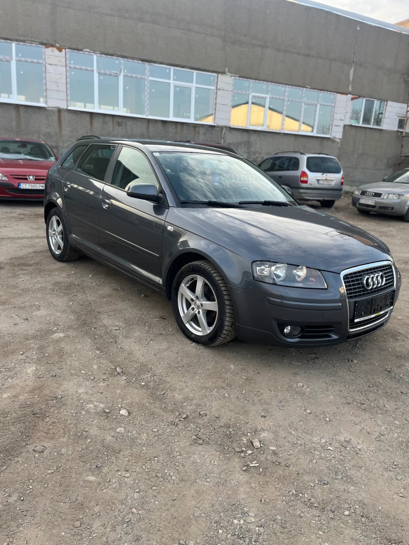 Audi A3 1.9 TDI 105, снимка 6 - Автомобили и джипове - 49501137