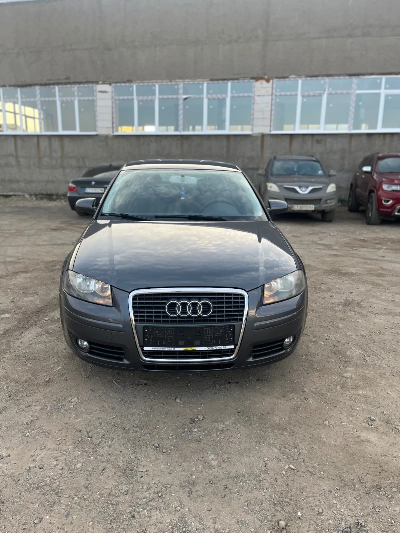 Audi A3 1.9 TDI 105, снимка 3 - Автомобили и джипове - 49501137