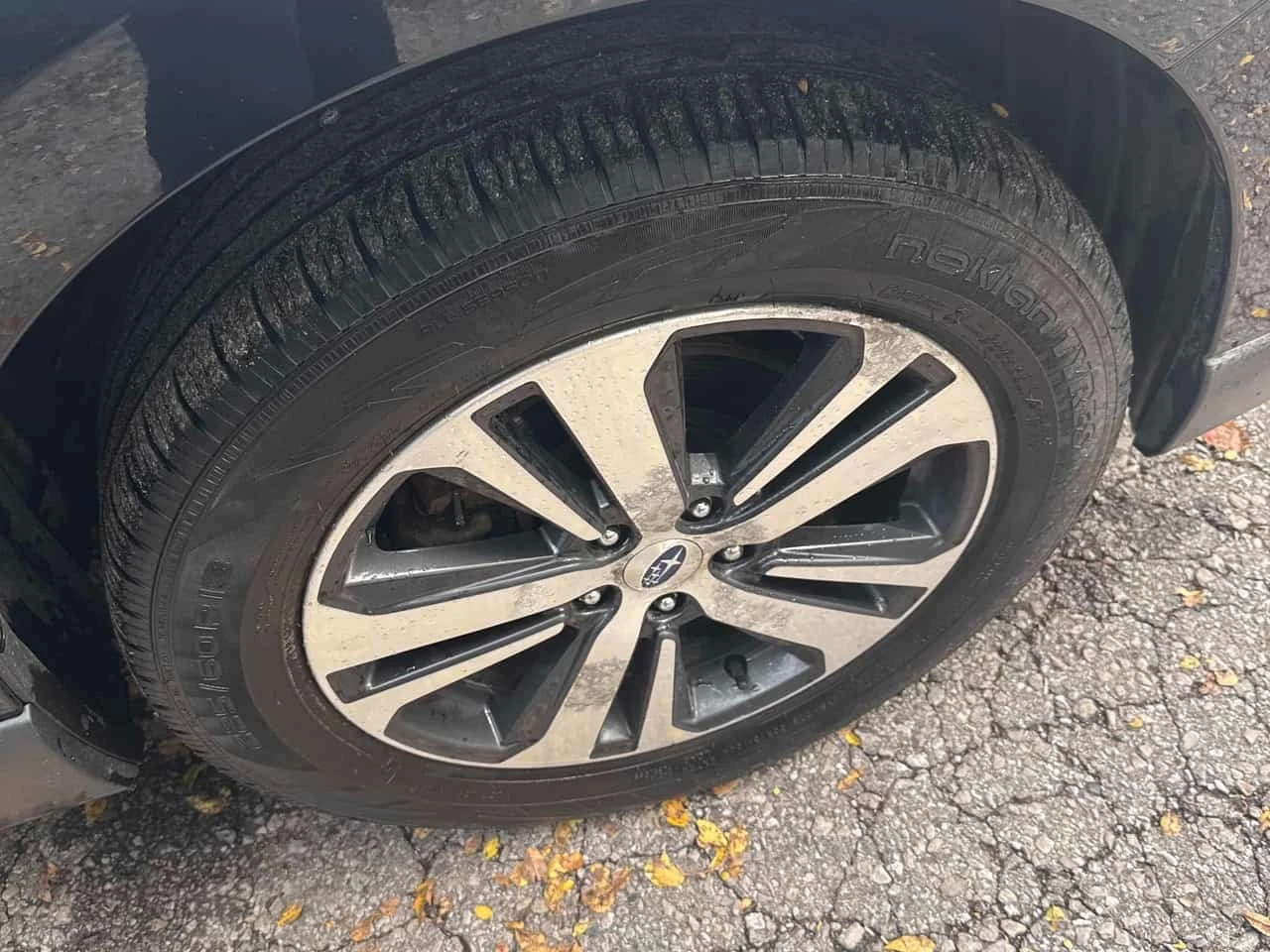 Subaru Outback * Limited * CARFAX * ����� �� ����������� *  | Mobile.bg � ����������� 7