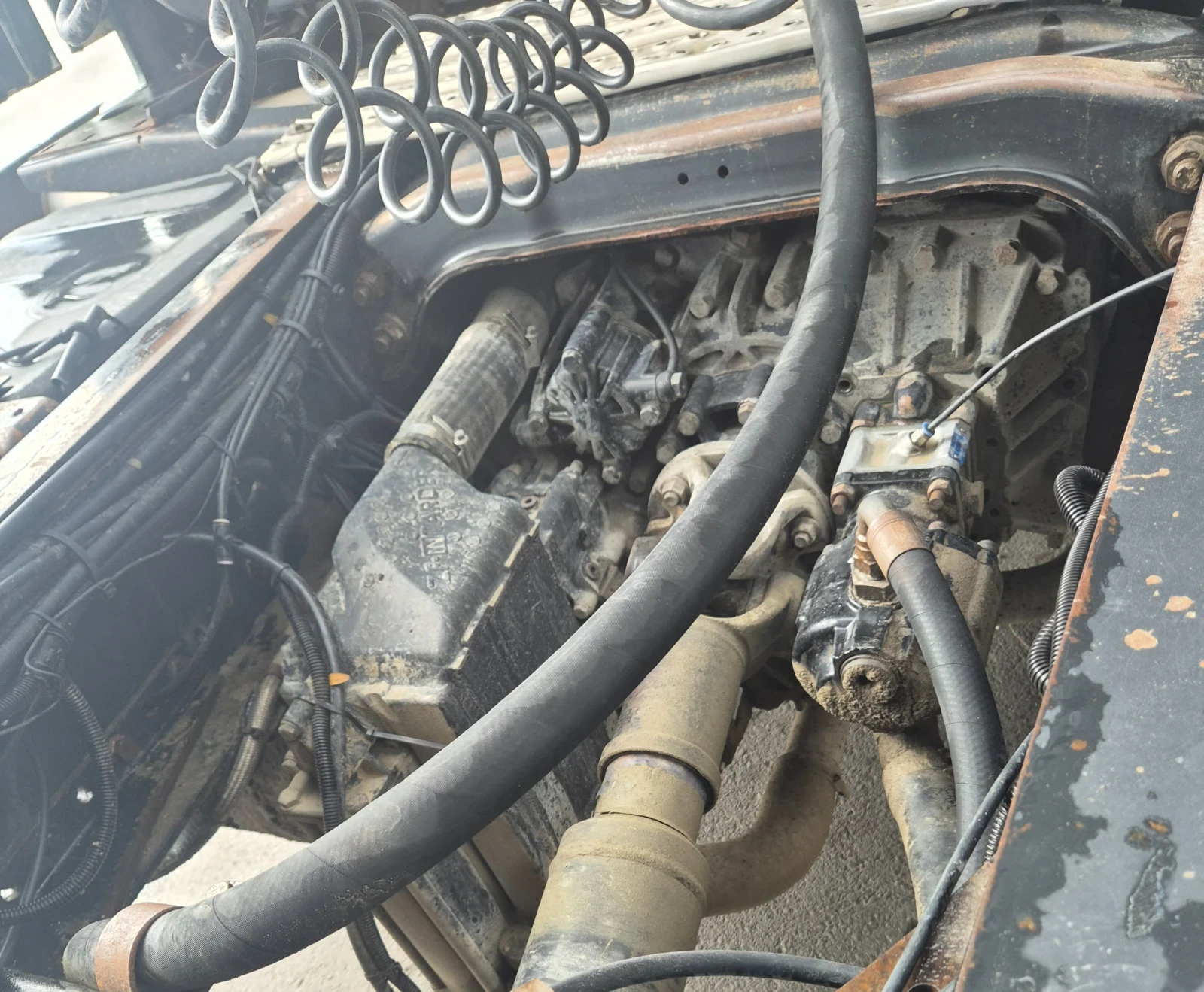 Man Tga  - изображение 9