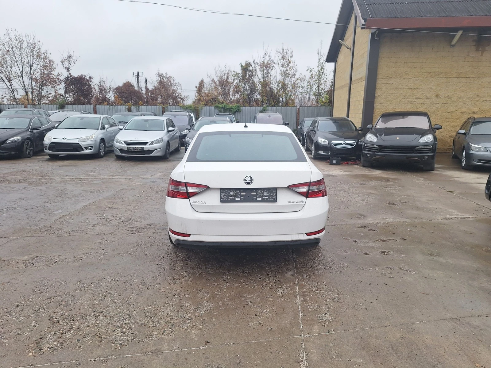 Skoda Superb 2.0 tdi dsg - изображение 7