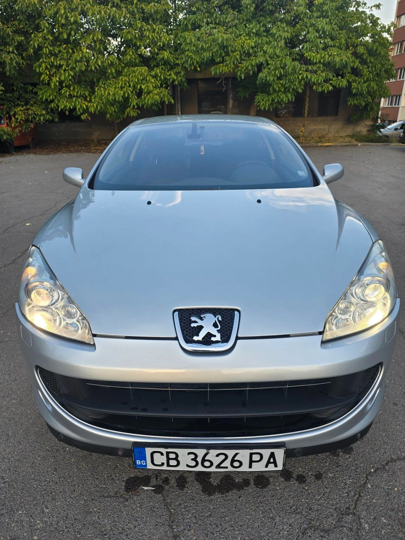 Peugeot 407 Coupe 2.2, снимка 10 - Автомобили и джипове - 55912699