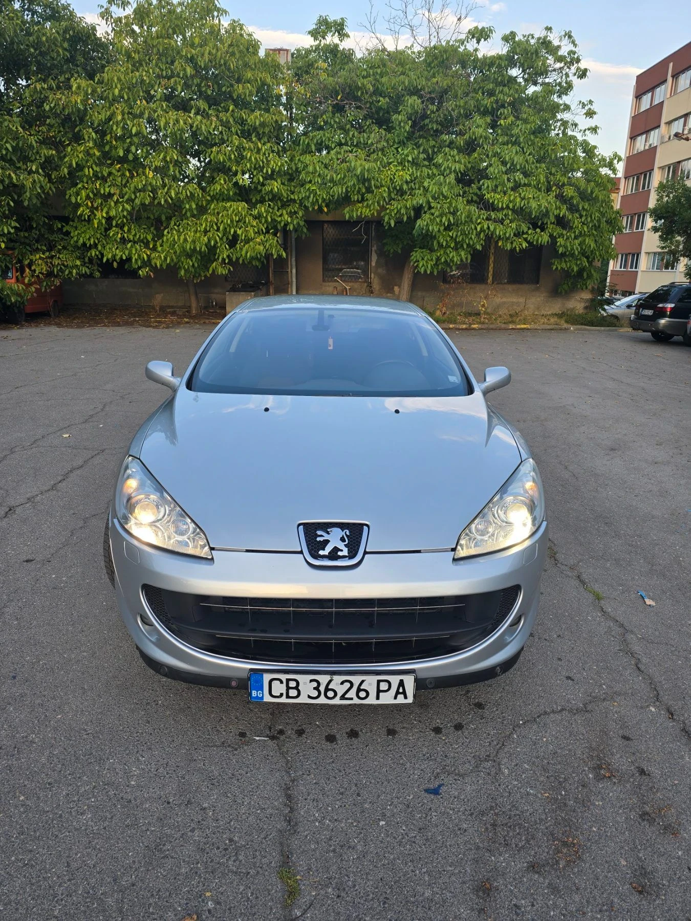 Peugeot 407 Coupe 2.2