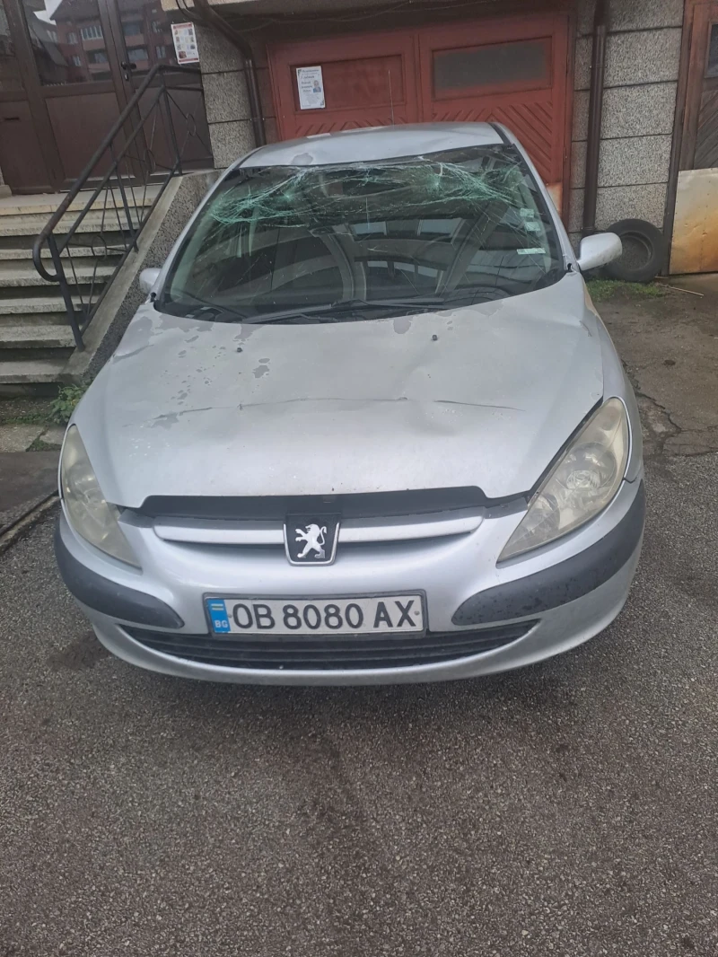 Peugeot 307, снимка 9 - Автомобили и джипове - 53214126