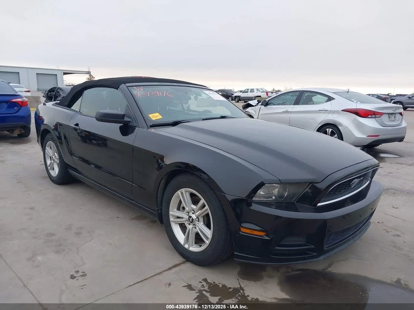 Ford Mustang 3.7l V6