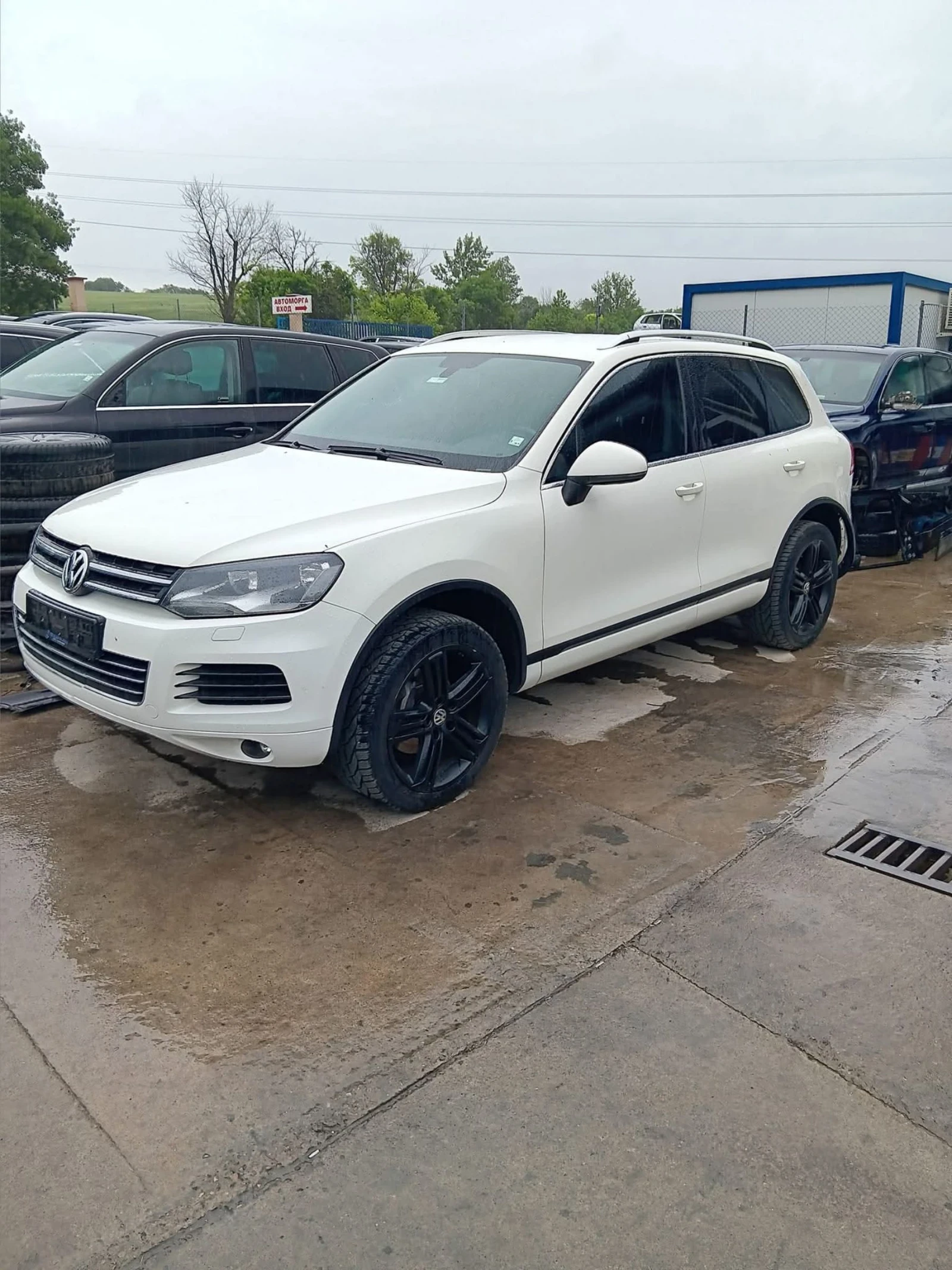 VW Touareg 3.0 TDI, CAS  240 .. ,,10    | Mobile.bg   2
