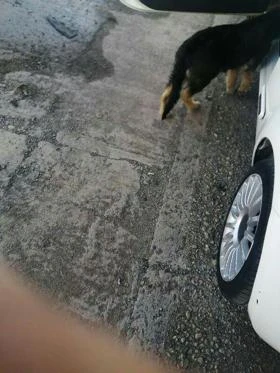 Fiat 500 1,2  1.4Т, снимка 11