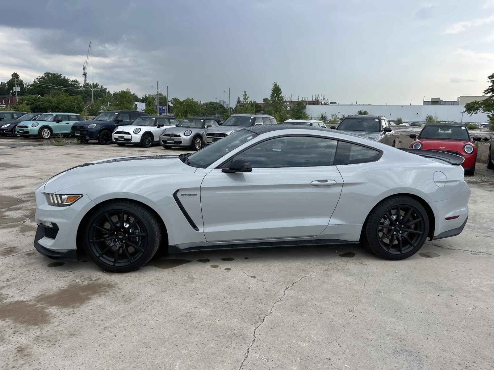 Ford Mustang Shelby GT350* SHAKER* Back cam* Brembo* 2Ключа, снимка 2 - Автомобили и джипове - 56048444