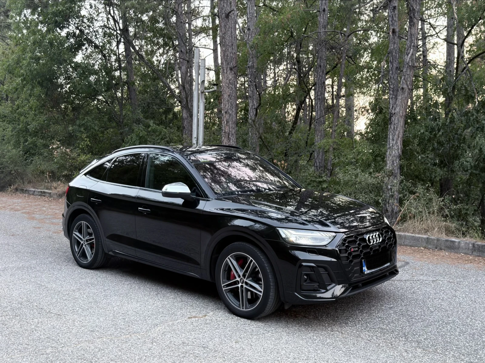 Audi SQ5 AIR/CARBON/MASSAGE/B&O/MATRIX