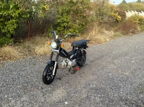     Piaggio Bravo Sunsto 49 ( )