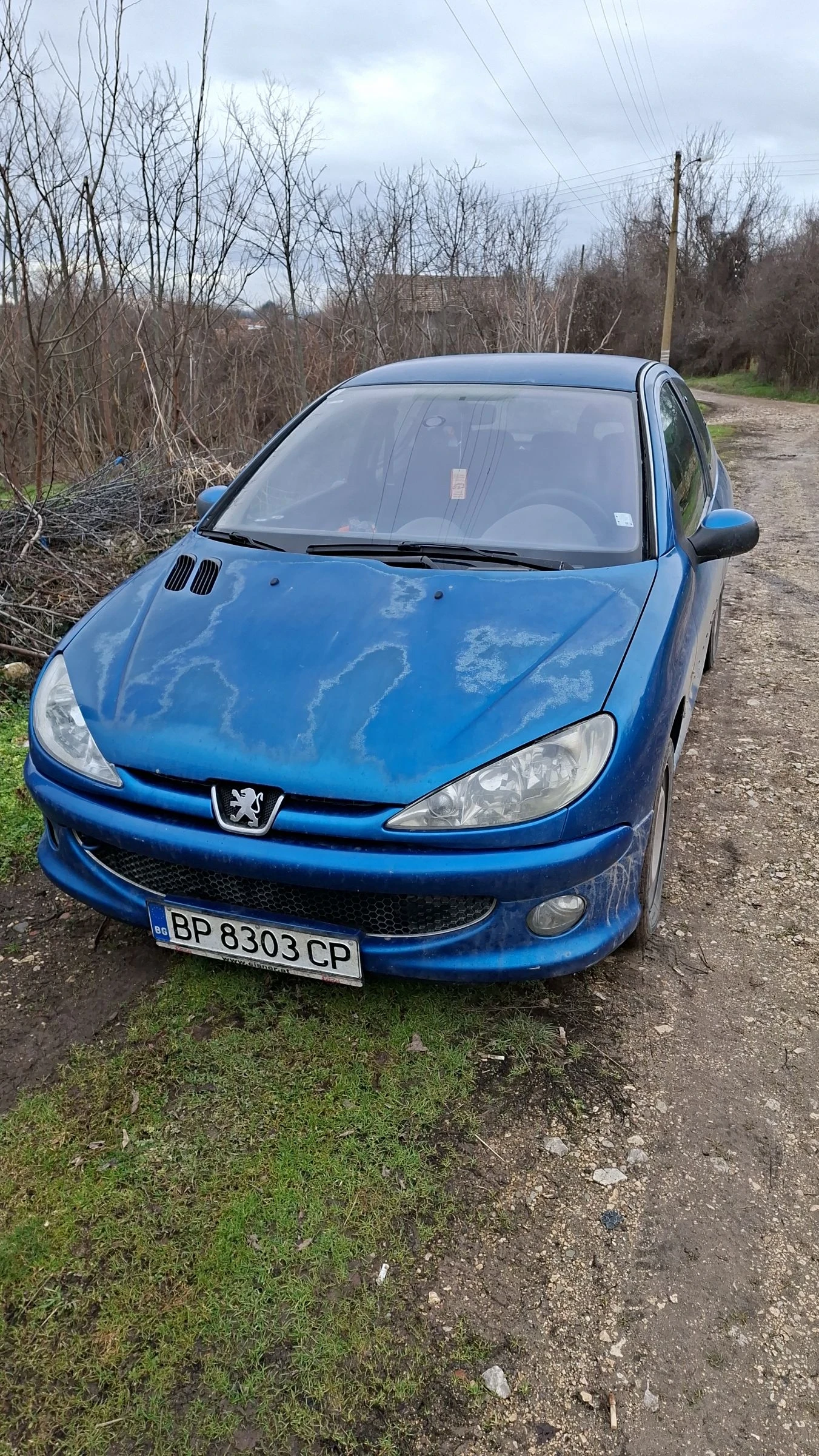 Peugeot 206, снимка 1