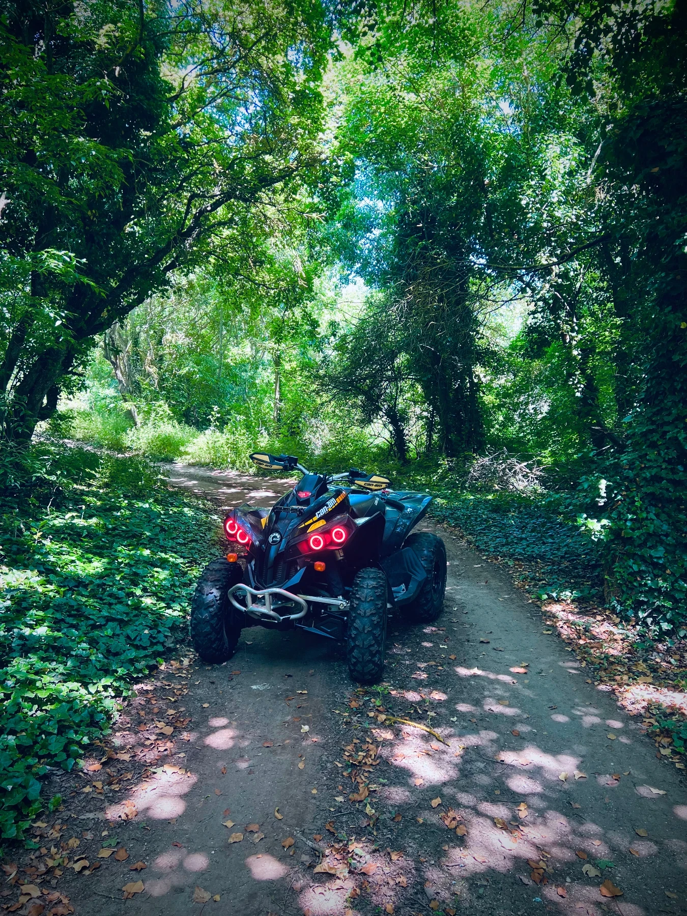 Can-Am Renеgade 800R - изображение 5