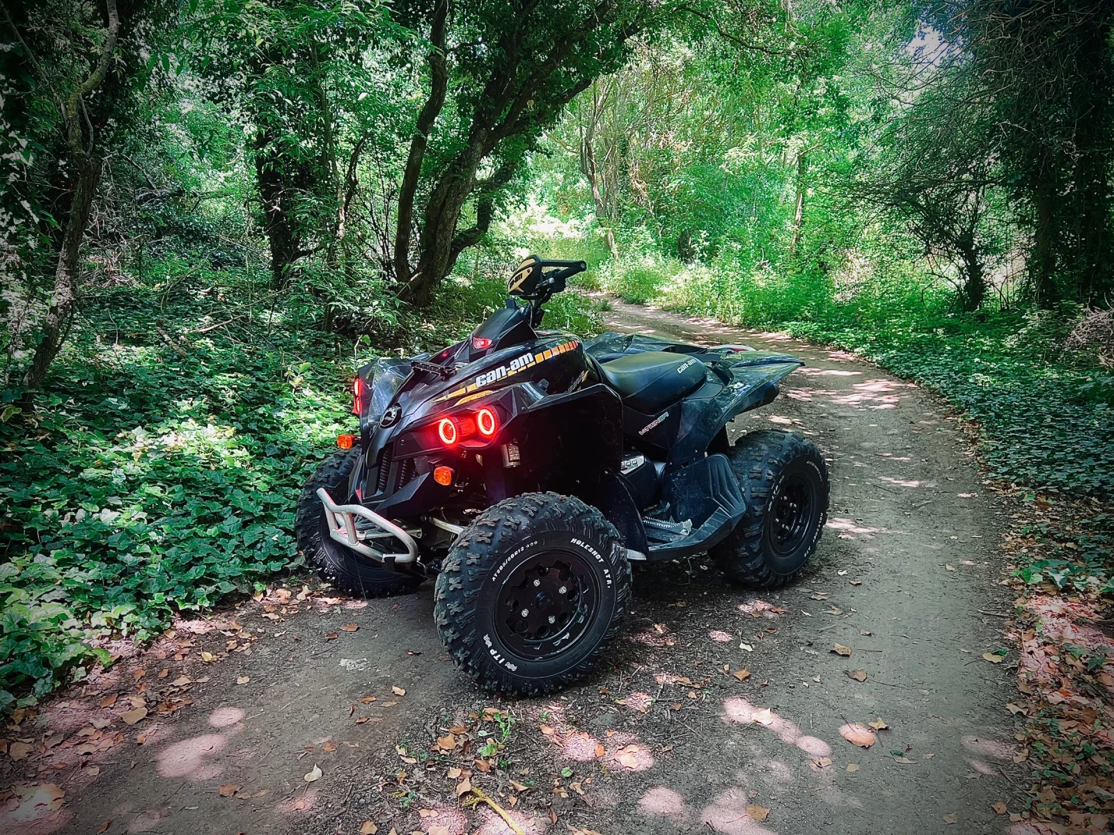 Can-Am Renеgade 800R - изображение 3