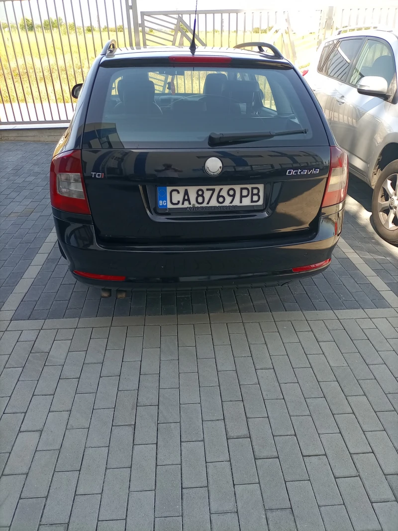 Skoda Octavia, снимка 3 - Автомобили и джипове - 48365029