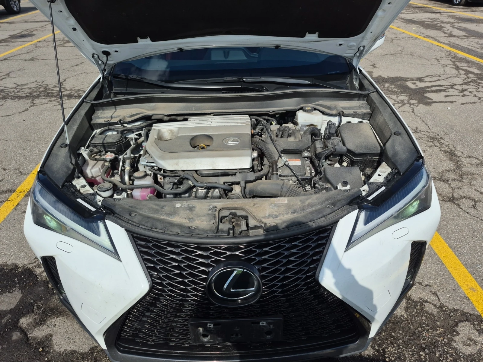 Lexus UX 250h * АвтоКредит*  - изображение 7